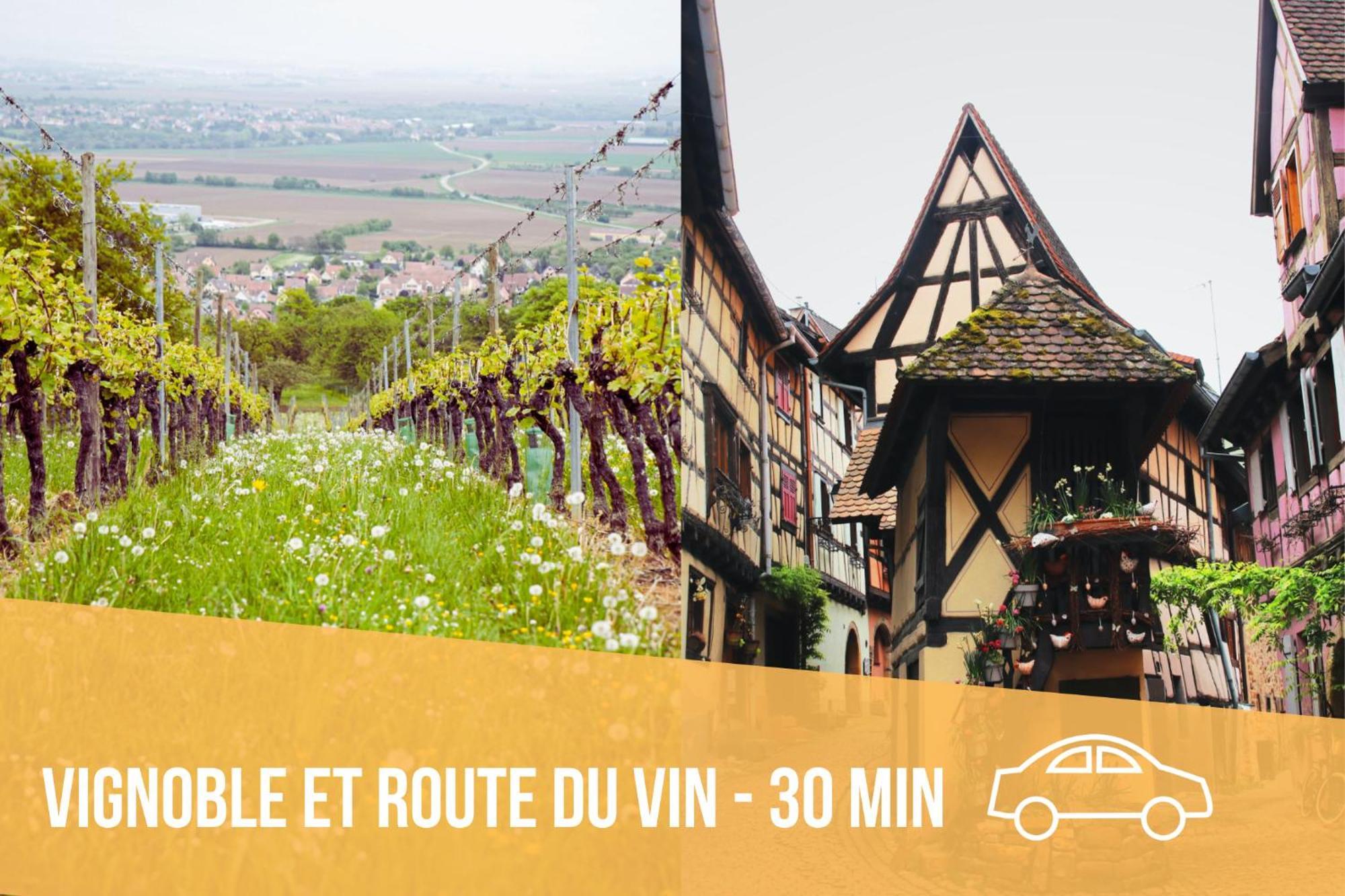 Les Pinots D'Alsace - 3 Bungalows Climatises Avec Tv - Proche Europa Park Boofzheim Szoba fotó